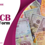 FCCB Full Form: How Foreign Currency Convertible Bonds Work