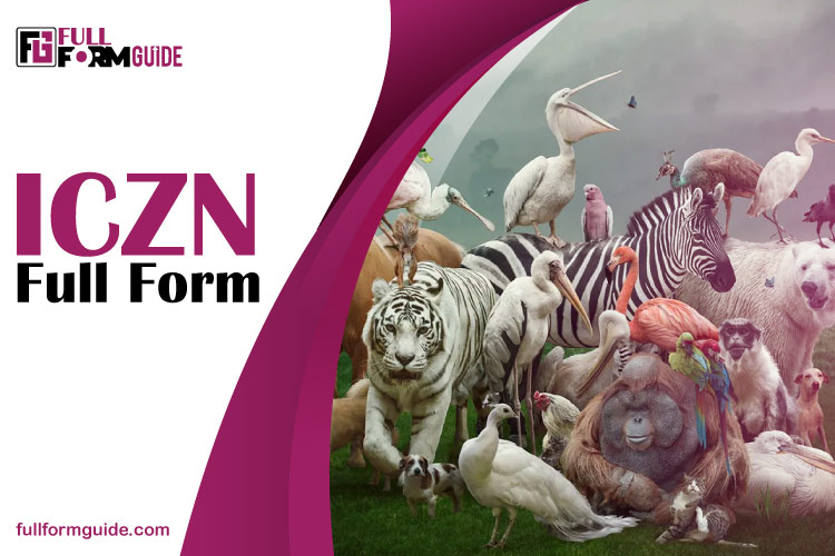 ICZN Full Form