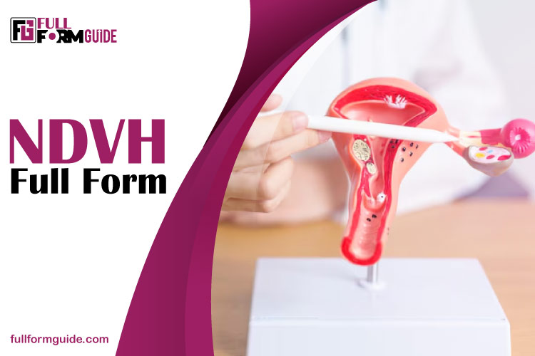 NDVH Full Form: Meaning, Procedure, Benefits, And Recovery Guide