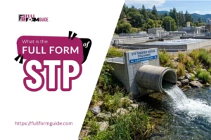 STP water 2 - Full Form Guide