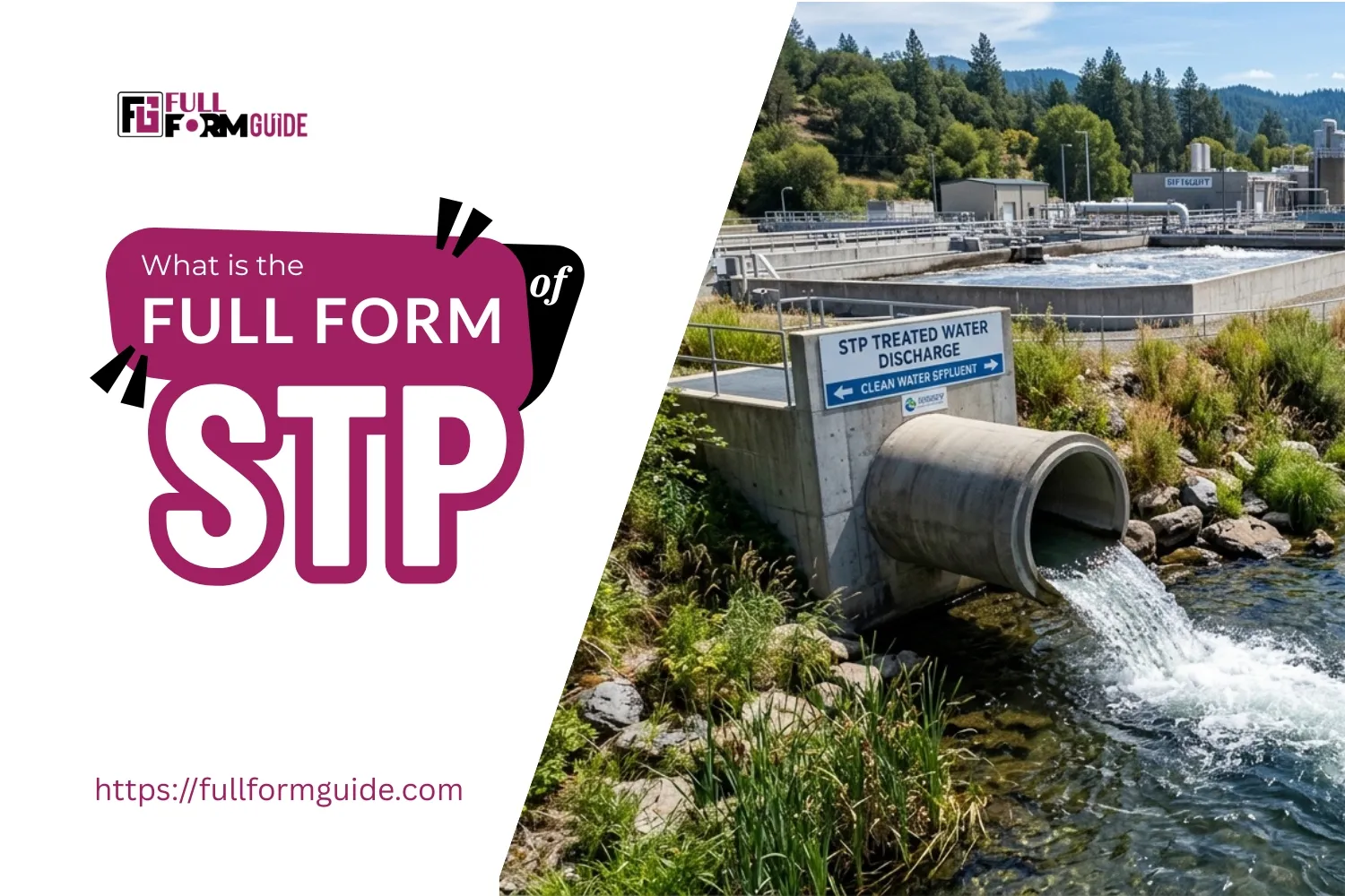 STP water 2 - Full Form Guide