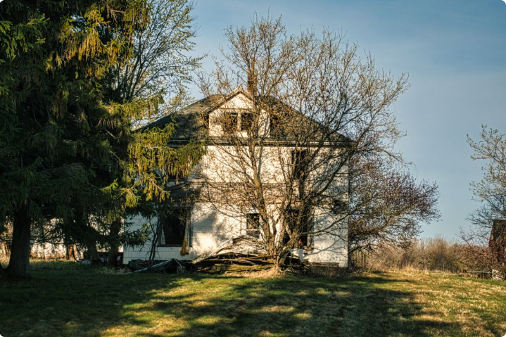 Signs a Tree Near Your Home May Need Professional Attention